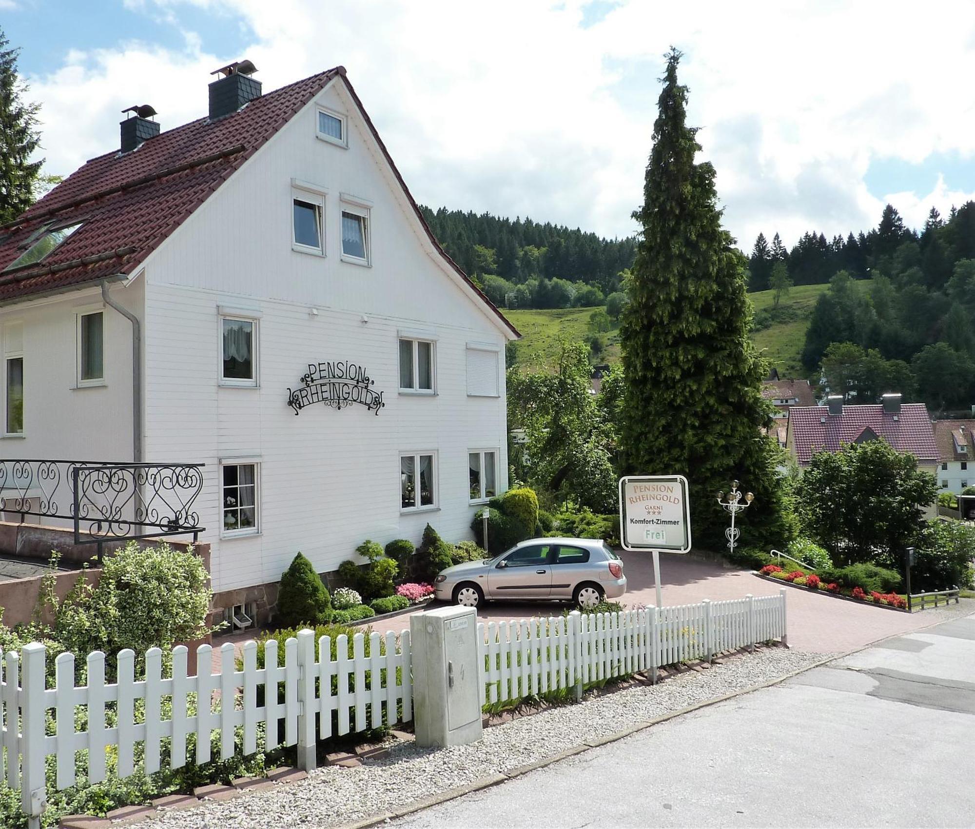 Pension Rheingold Garni Бад-Грунд Экстерьер фото
