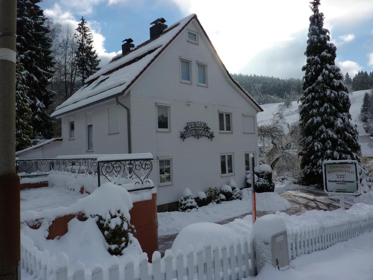 Pension Rheingold Garni Бад-Грунд Экстерьер фото